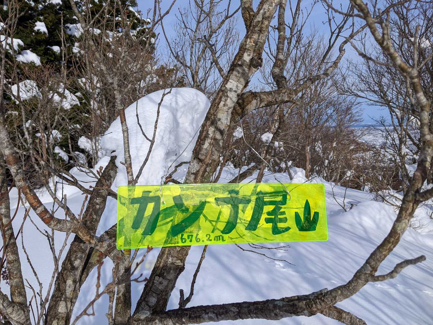 新しい看板✨✨近未来的😆