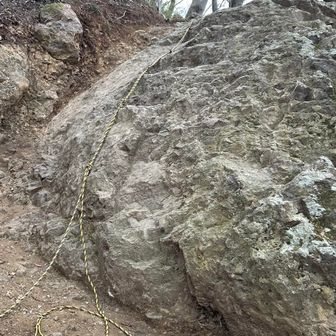 ごっつい岩だなぁ🪨