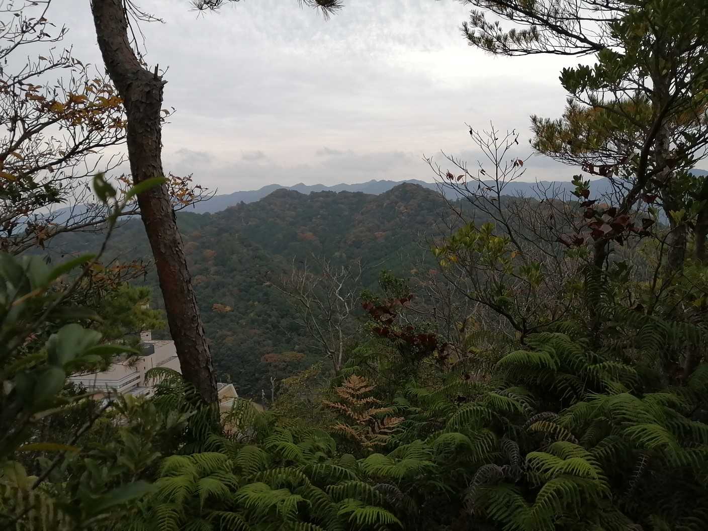 蕎麦ヶ岳が見えだしました‼️🤗
左手前の建物は清掃工場で、正面の⛰️は西方便山ですね🎵