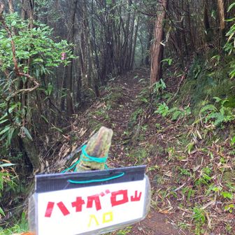 車道歩きから　こちらへ〜🖕
またまた　登ります〜