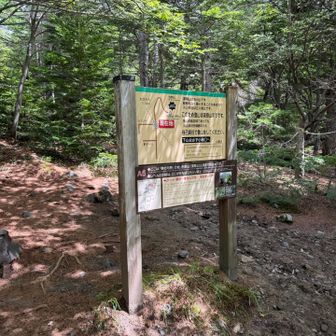 賽の河原
ここから2回目の登山始まる