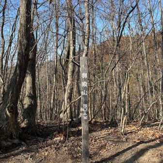 木々が落葉しているので隙間から少し景色が見えますが、夏は景観があまりなさそうですね💦