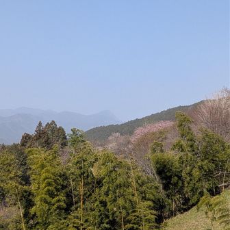 自然の世界は、
空模様の判断だけではなく、
お邪魔してみないと確認しづらい
　　　　　　　　　　　光景も多様💭

今日は…
　    　 う っ す ら 眺 望　 武 甲 山 ⛰️

くっきり眺望できなくっても、
　　　　　　　　　　良 き 光 景 ☺️

　飾らない、ありのままが
　　　　　✨️　　美 し い 在 り 方　　✨️