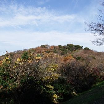 衣張山をふりかえります。