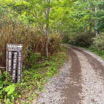 ロープウェイを使わずに登る場合はこちらから