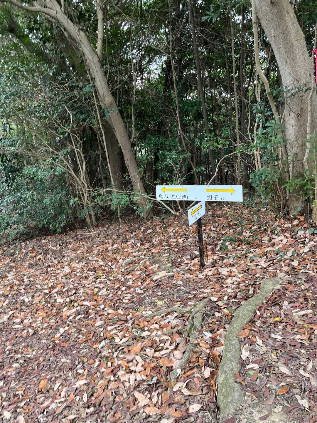 俎石山-大福山 往復コースの写真