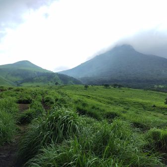 登山口に帰着したら、雨は止んだ

日向岳方面に、イワタバコの開花状況を見に行こうと思っていましたが、タイムオーバーでした。でも、ヤマオダマキはじめ、たくさんの花に会えて、楽しい山歩きでした。
ありがとうございました。