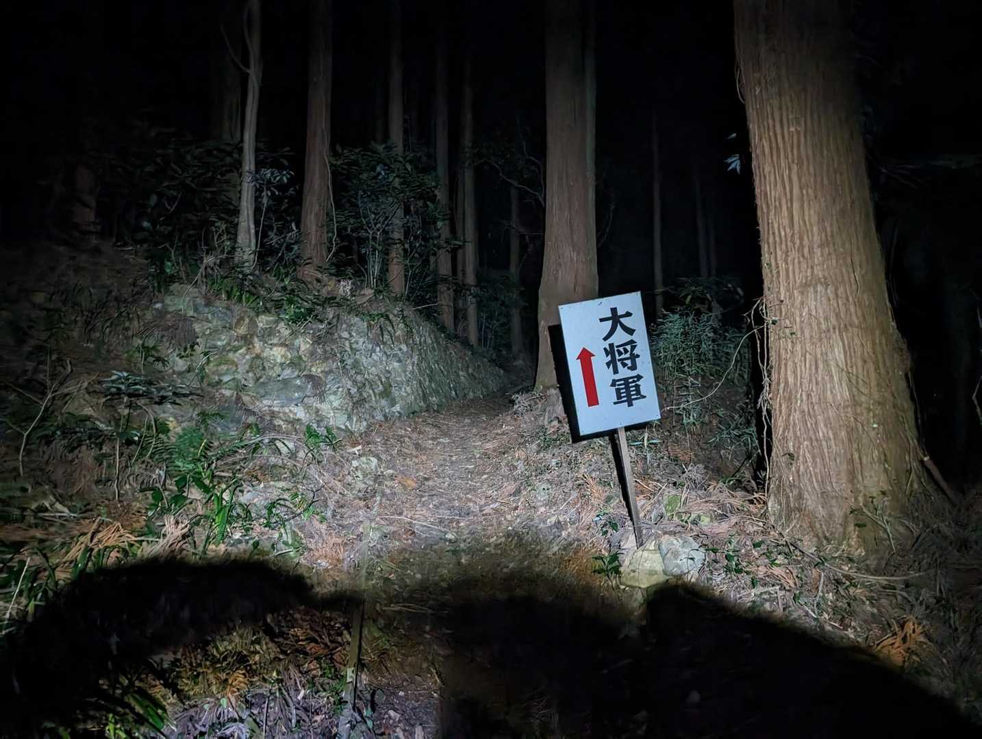 見れることを信じてスタート！