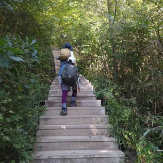 稲荷山コース、最後のロング階段がエグかった…💧