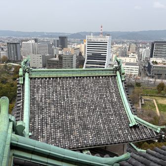 和歌山市役所
14階農園にて昼食バイキング