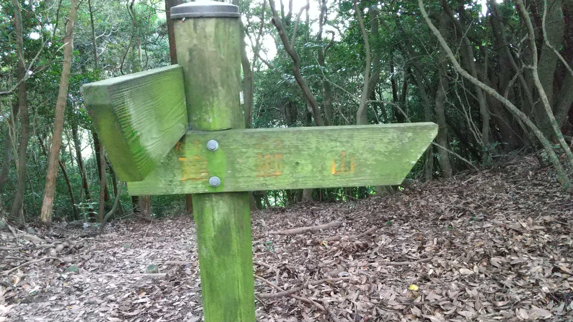 市の瀬峠-白畑山 往復コースの写真