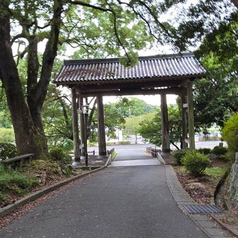 帰着