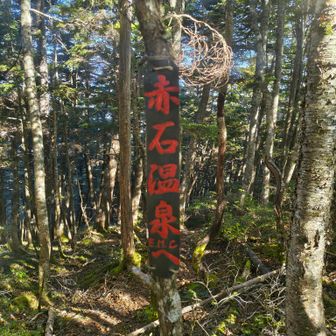 明神橋へと降りるコース入口の案内板このコース最後の核心部が9月の長雨でどうなっているか分からないので、今日はここを降りるのやめにしました