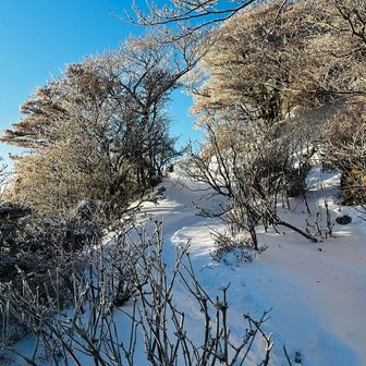 くじゅうブルー