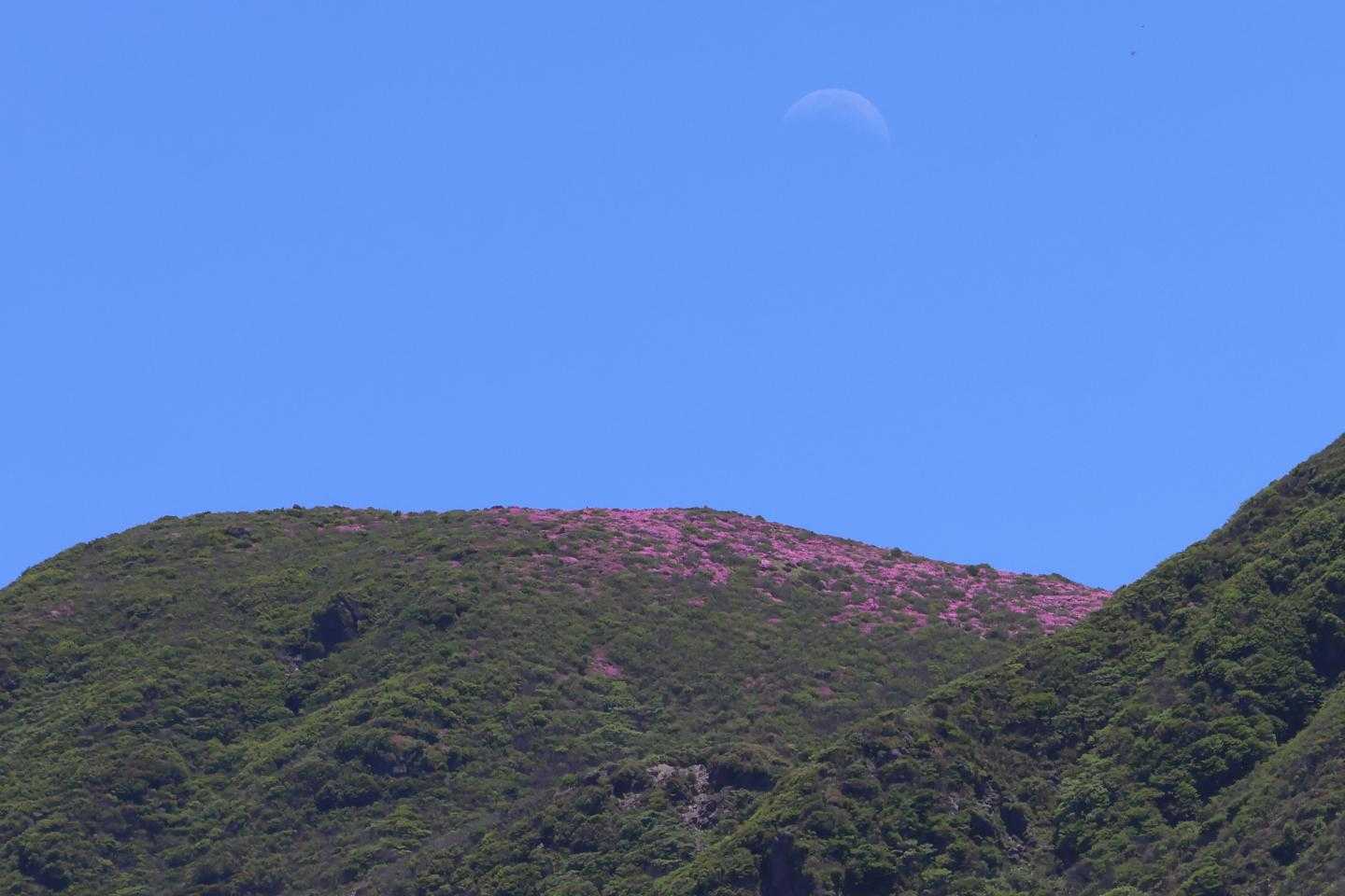 山頂のミヤちゃんアップ