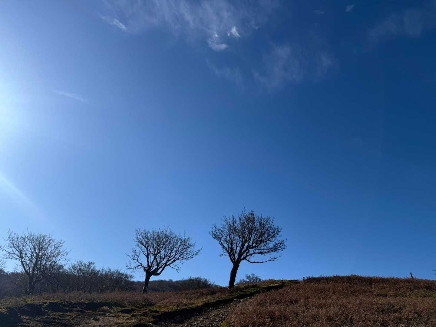 鞍掛トンネル東登山口-鞍掛峠-鈴北岳 往復コースの写真