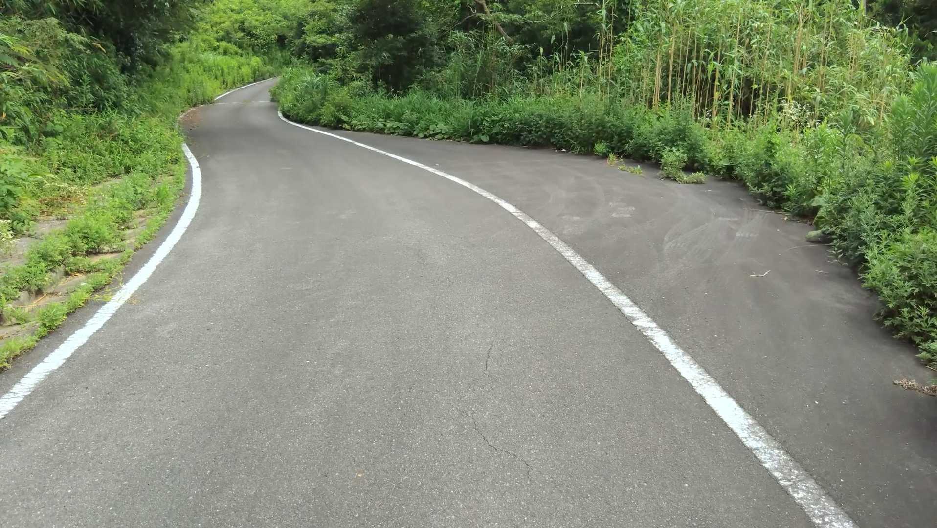 ここが今回駐車した場所からこの林道に入り込んだ場合に最短の駐車スペース💡