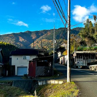 正面の山の中腹に善峯寺がある