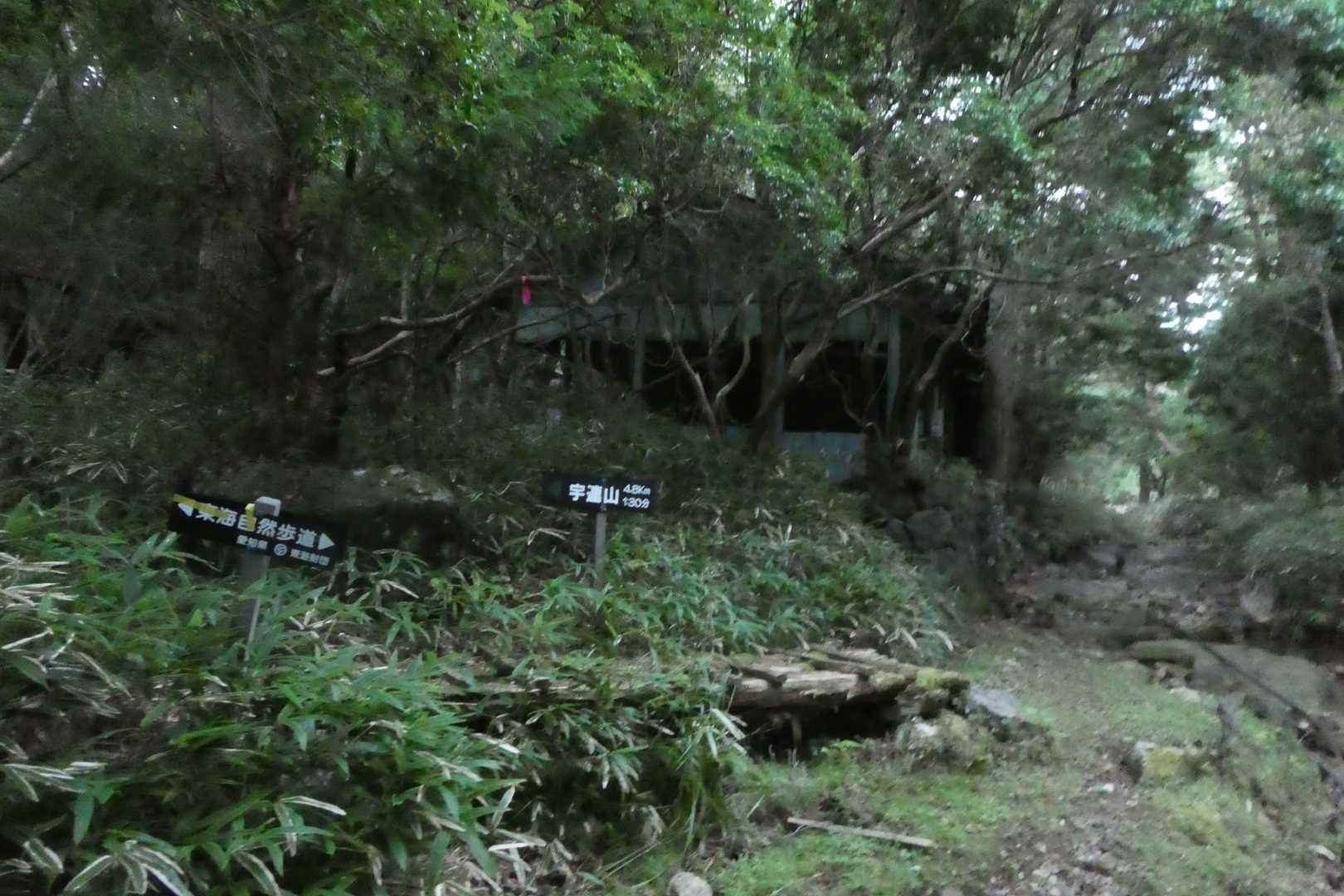 30分ほどで棚山高原、東海自然歩道に合流します。