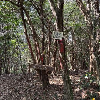 平尾山頂到着⛰️