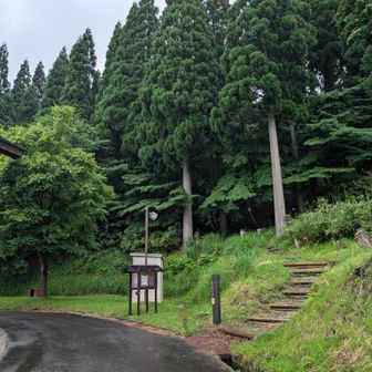 登山口
開通なった仙谷コースから行きたかったところ、
今日はがっちり雨予報なので、比較的安全なほうの氷ノ越コースにした
