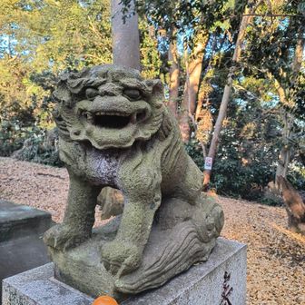 阿形

優しい顔してます