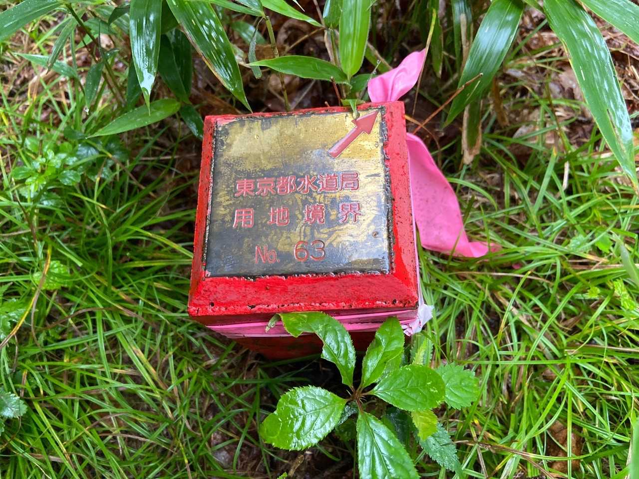この山
そして大菩薩嶺は東京都水道局の持ち物なんですよ🤗
都民の水源確保のためなのだ！