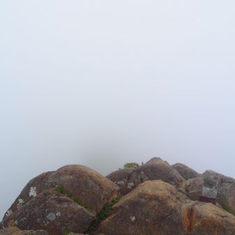すんごいまっっしろ。この先に見えたはずの天狗岳😭ミエナイ…