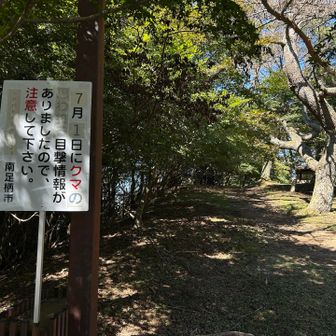 これがかなりショックでした〜!