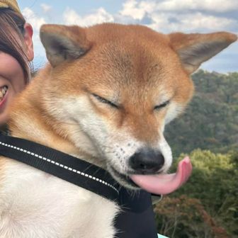 しぃ
