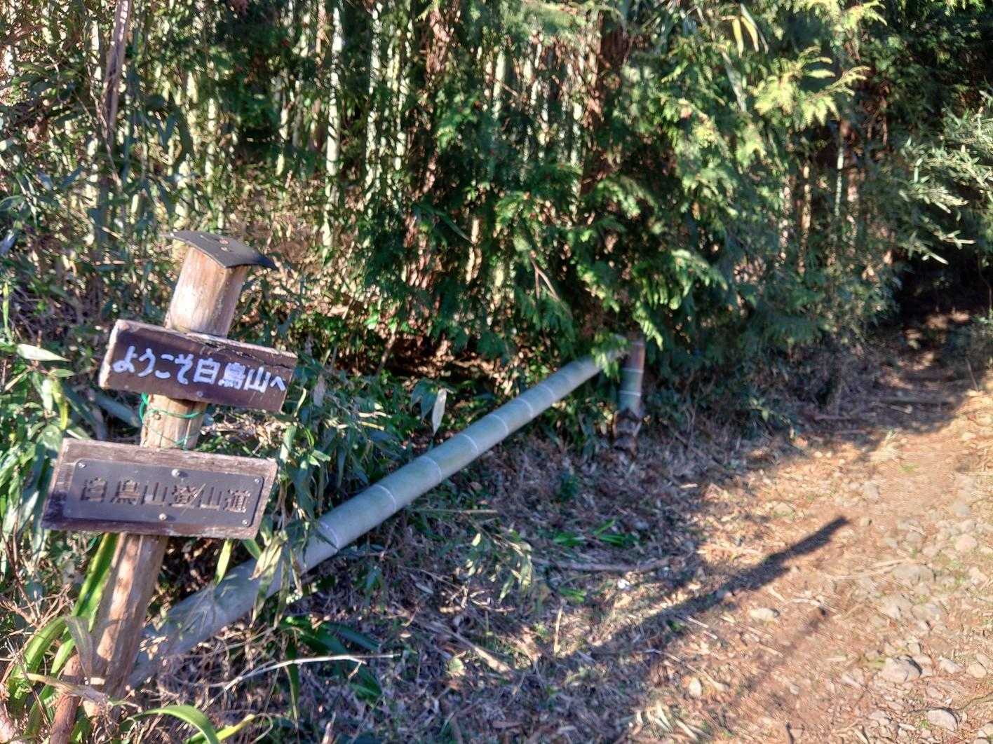 民家の庭先を通り抜け、ここから登山らしい登山口
車に手袋忘れるわ、手拭い忘れるわ💦
