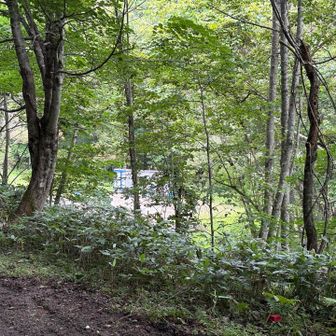 最後の７キロウオークはアップダウンもあり、疲れた身体に非常にきつい😰。
バス停が見えて嬉しい☺️。バス停にはアブ🪰がメタクソいて、バスが来るまで、みんな避難小屋に入って過ごす。