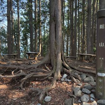 春になると、広場が寒々しくない