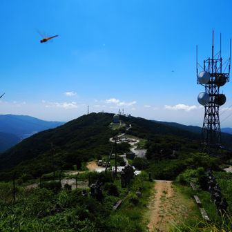 トンボも気持ち良さそう！