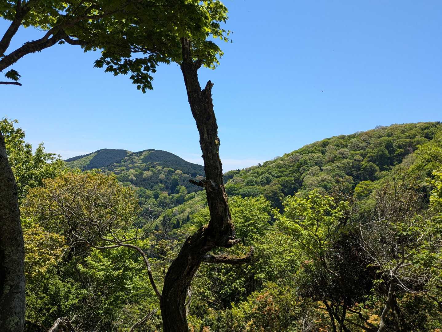 けっこう景色が良くなって来ました
今日は快晴で最高😊