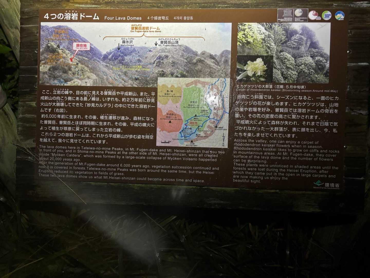 本来ならここでこの景色が見れるのかな？