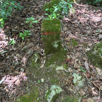 YAMAPではここが秀峰のピークになってましたが…本当ねピークはここじゃ無い