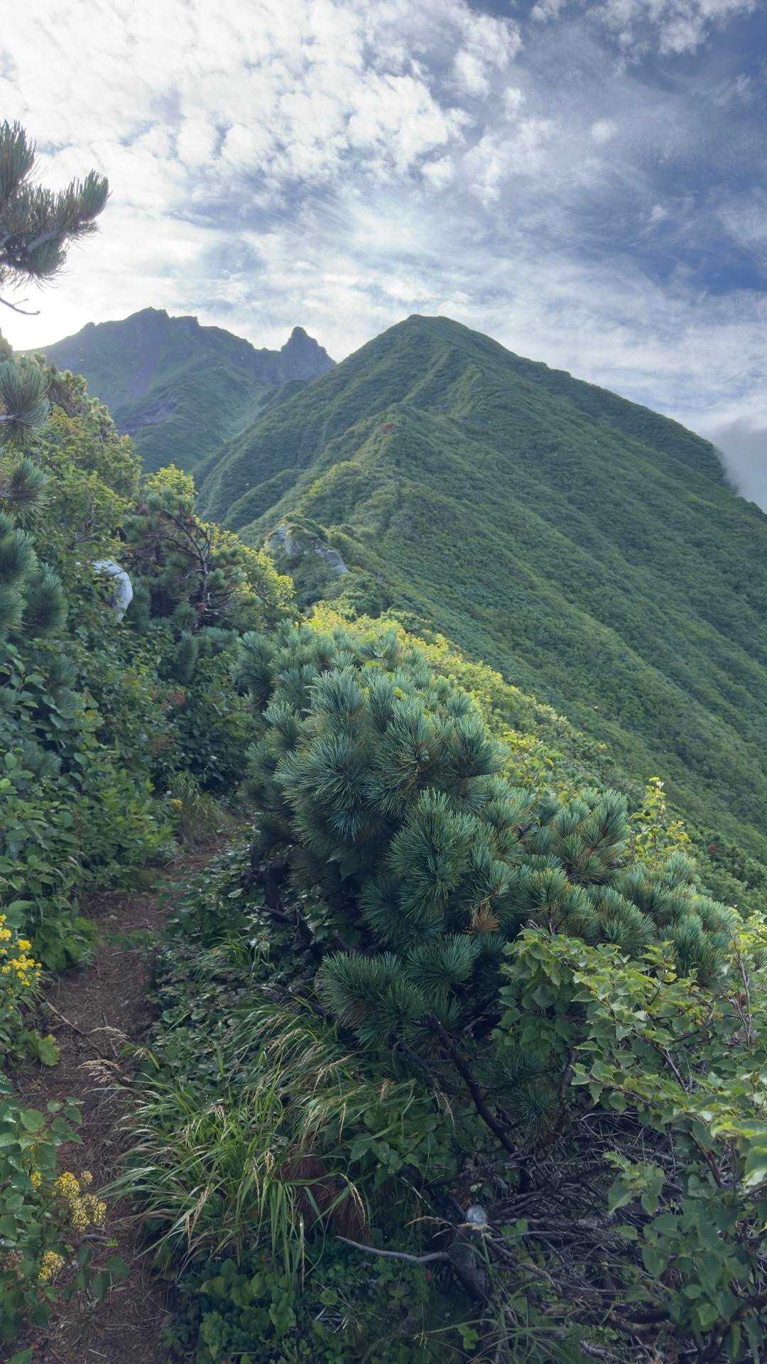 沓形登山口-三眺山-利尻山 往復コースの写真