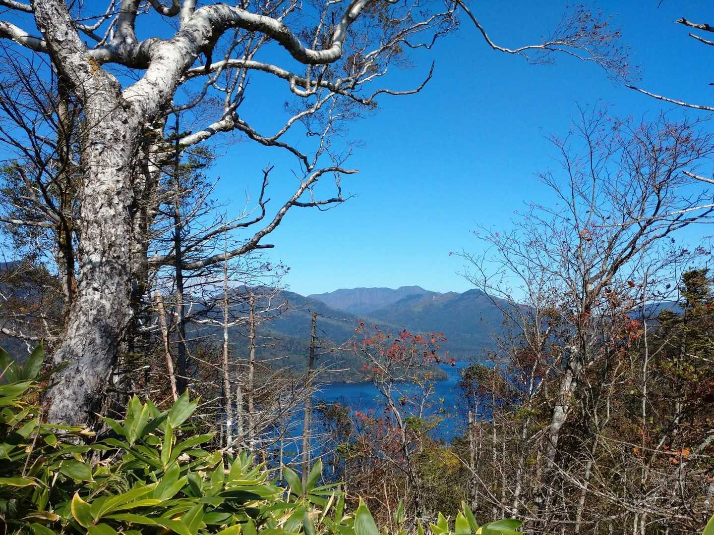 尾根道からは
ウペペサンケ山さんに
また行かせていただきますと
ご挨拶をします