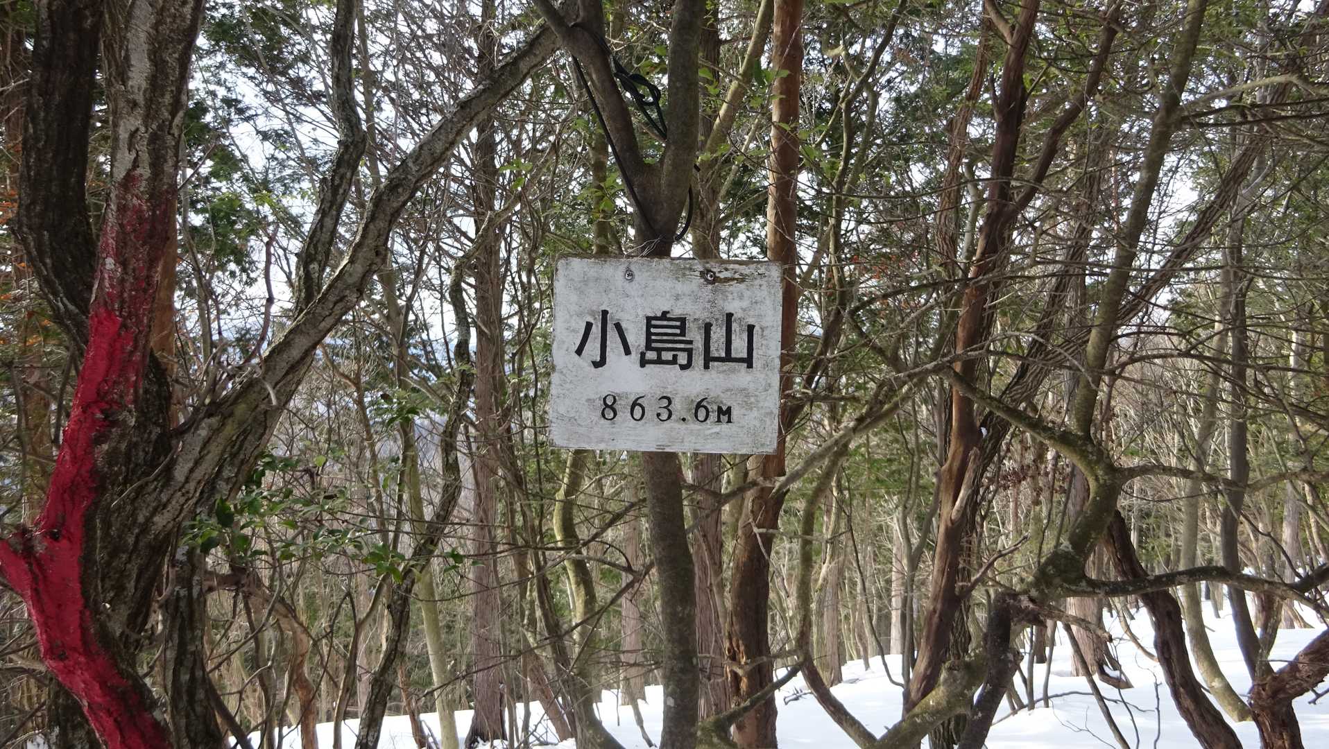 小島山山頂