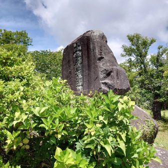 土肥城址だそうです。
