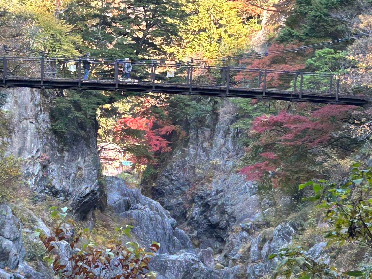 鳩の巣小橋と🍁