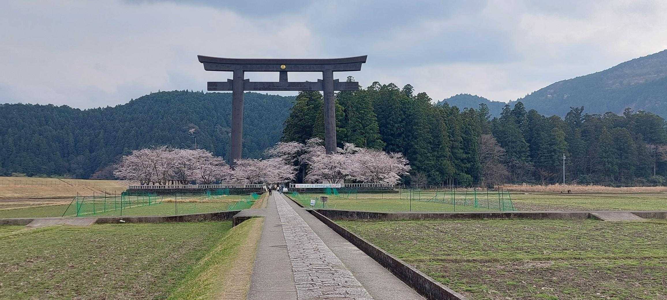 この景色が見たかった