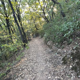 歩きやすい登山道