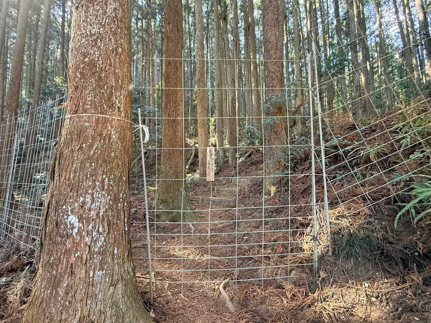 こちらを開けまして〜