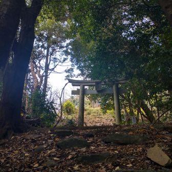 夏に撤退..やっと行けた！
右ヶ岳に感謝!!