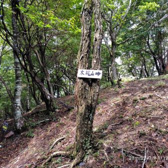 今度木梶山へ行こう