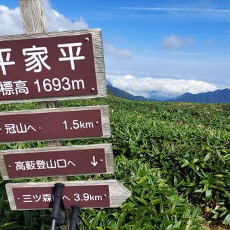 ついに登頂！薮とアブと雨露に塗れながらここまでやって参りました。晴れてて良かった😭今日の苦労が全て報われました。新居浜市側にかかる雲海が美しい・・・