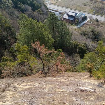 崖になってる。危険。