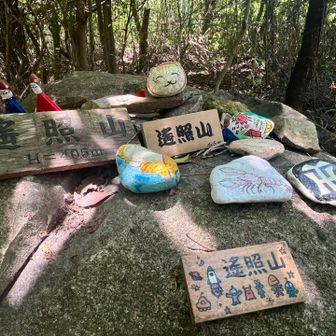プレートも盛りだくさん⛰️
なぜ阪神⚾️笑
他にもザリガニなどカオスです🦞